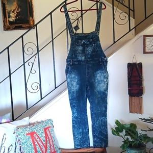 FREE PEOPLE Painter Denim Overalls Size 29